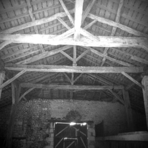 En este cobertizo vive un búho